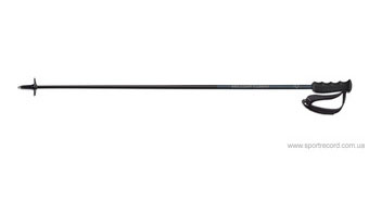 Горнолыжные палки FISCHER BRILLIANT CARBON-Z31019